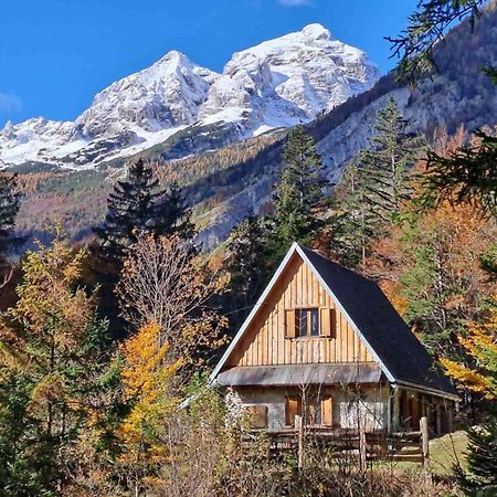 Cozy Private Cabin In The Heart Of Triglav National Park Trenta Exterior foto